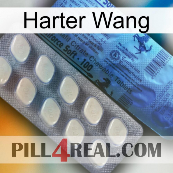 Hard Wang 34